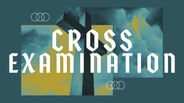 Cross Examination