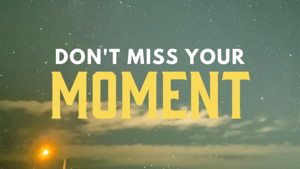 Don't Miss Your Moment