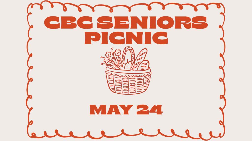 seniors-picnic